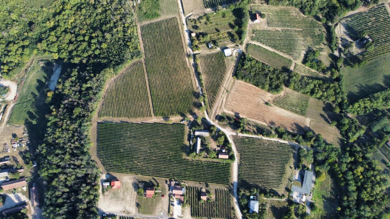 Lelle Vineyard Cottages Balatonlelle Eksteriør billede
